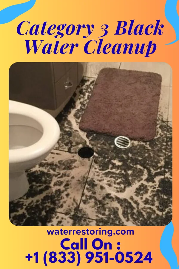 Category 3 Black Water Cleanup in Noroton Heights, CT