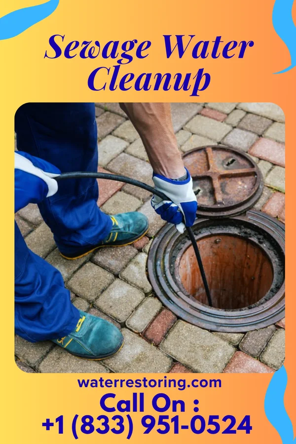 Sewage Water Cleanup in Noroton Heights, CT